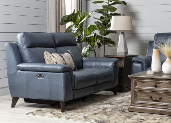 general purpose loveseats