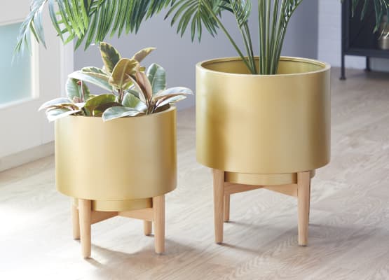 gold fall container garden