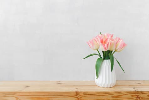 tulips in vases