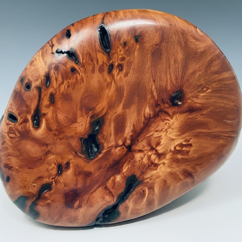 Redwood Burl Wood